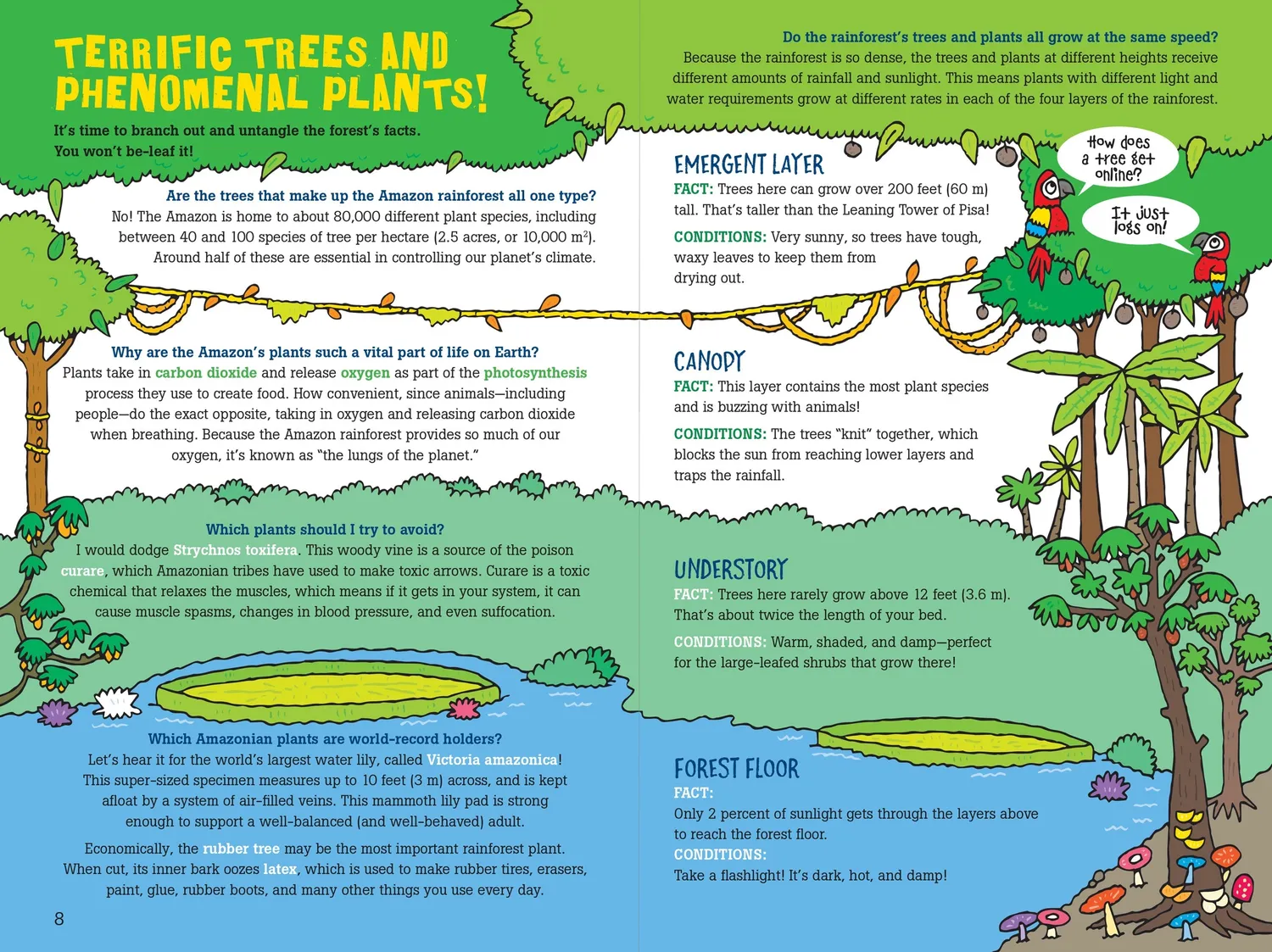 Peter Pauper Press 100 Questions Amazon Rainforest faktabok