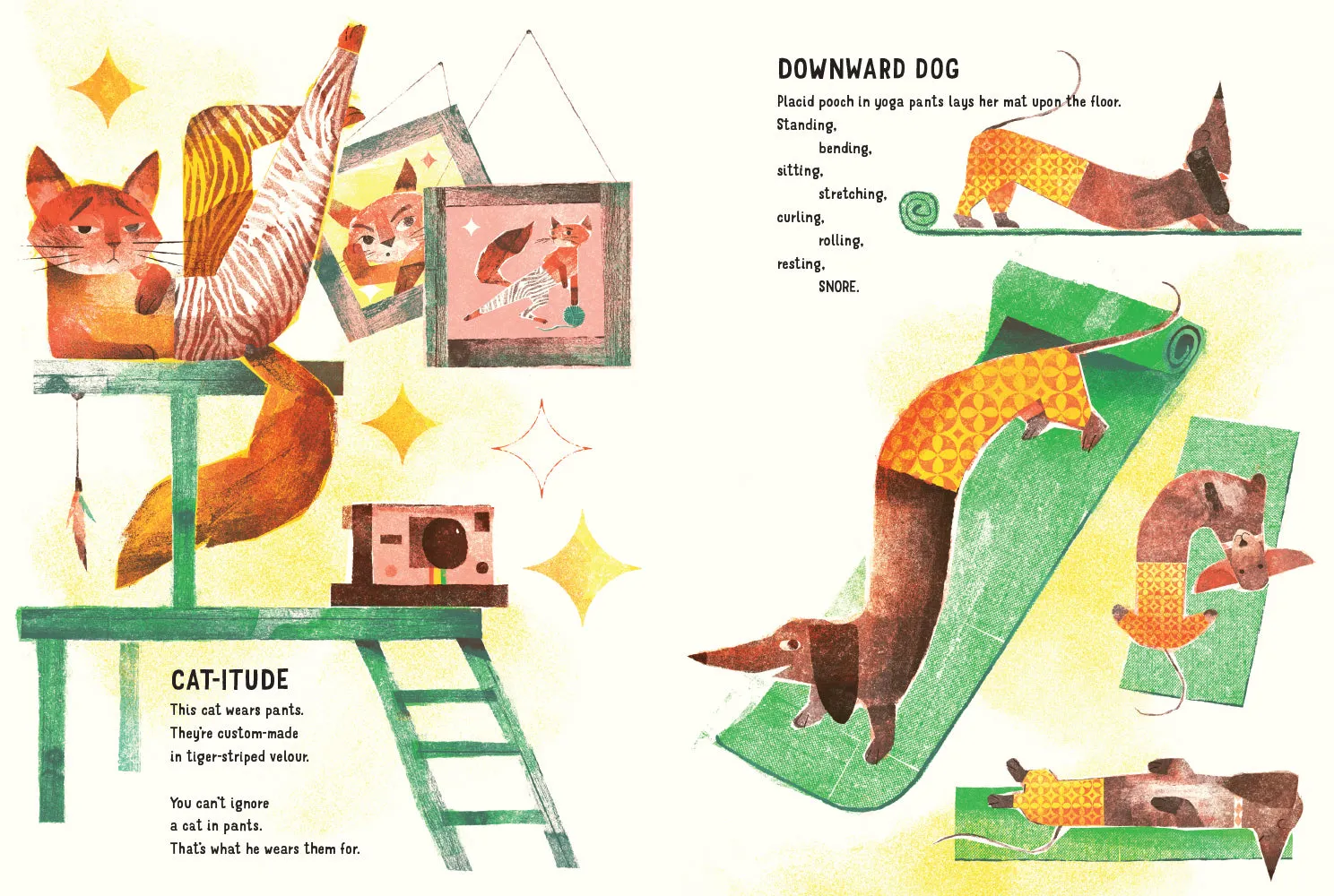 Abrams Animals in Pants barnebok innbundet rim 5-7 år