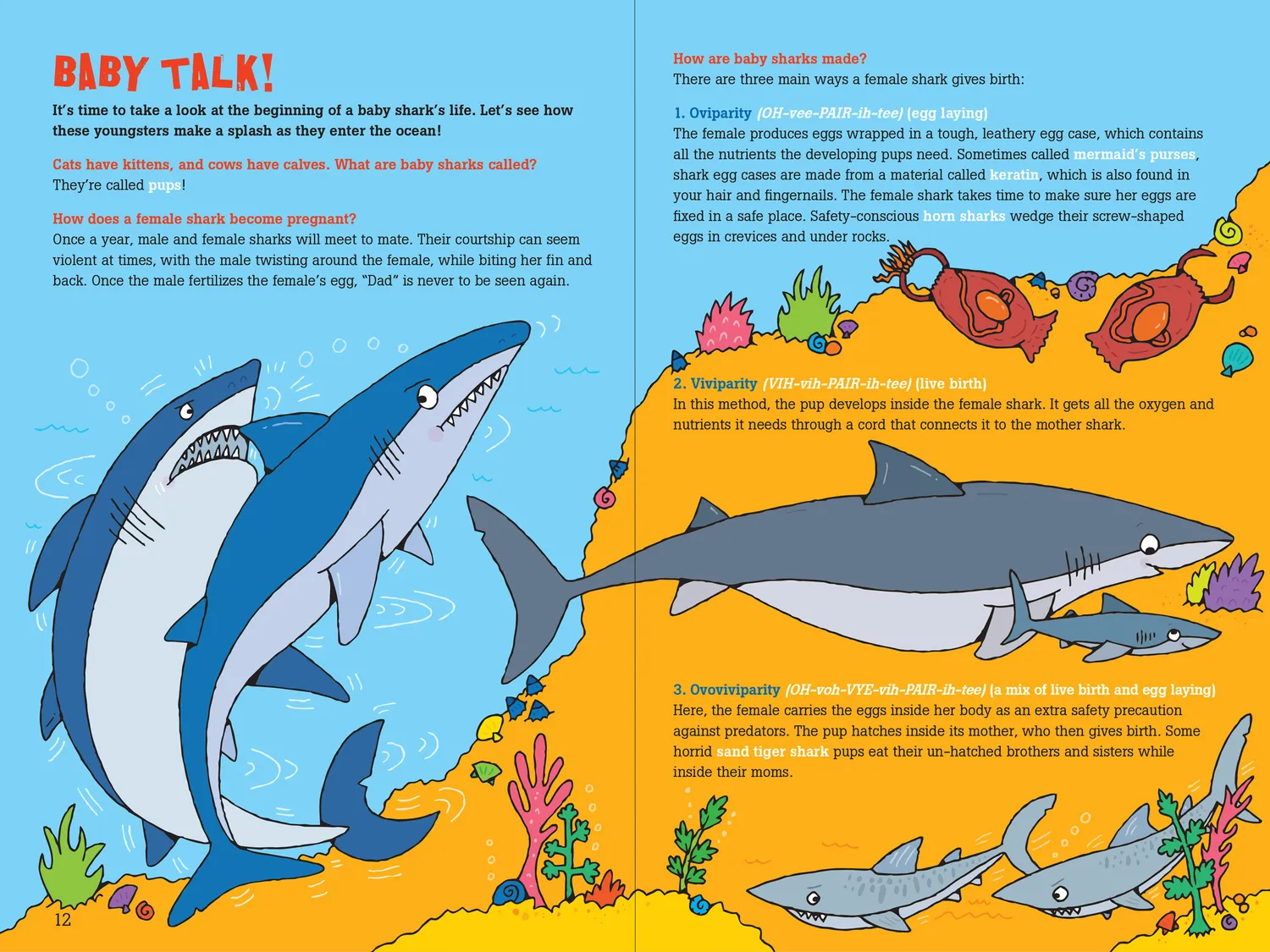Peter Pauper Press 100 Questions about Sharks barnebok innbundet