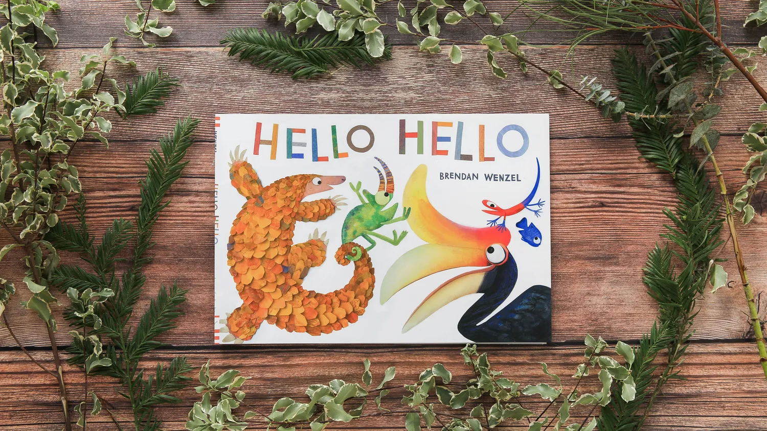 Chronicle Books Hello Hello bildebok innbundet 3-5 år