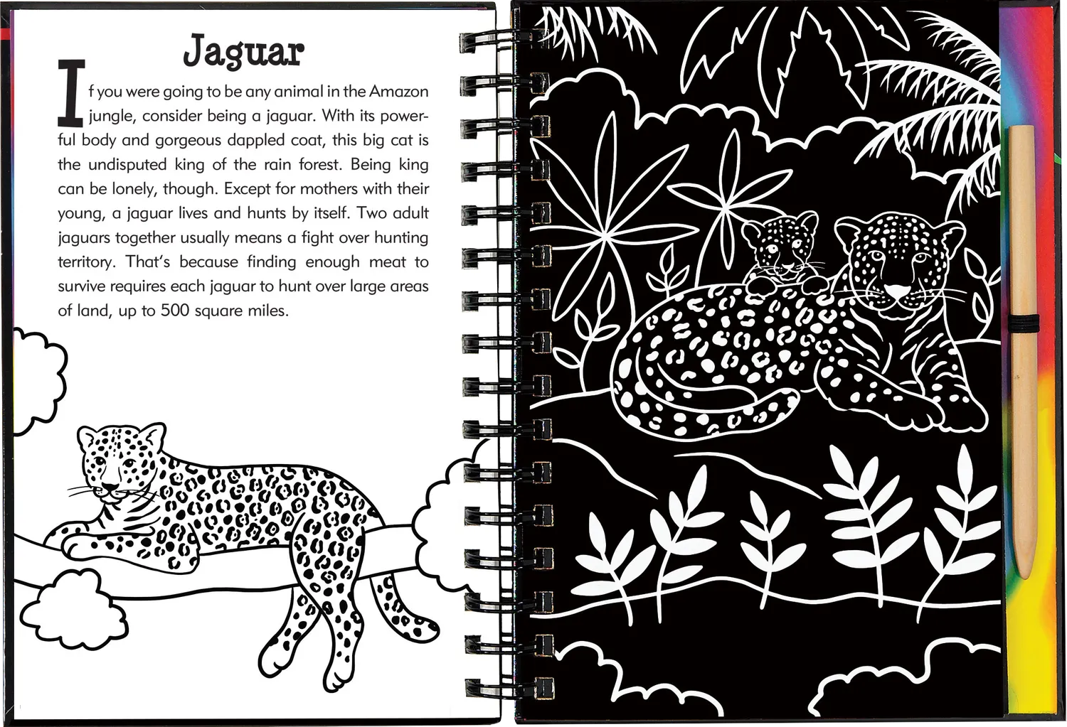 Peter Pauper Press Scratch and Sketch Rain Forest skrapebok