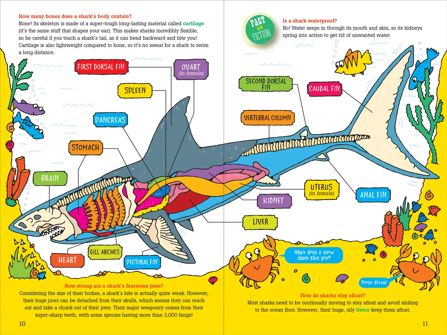 Peter Pauper Press 100 Questions about Sharks barnebok innbundet