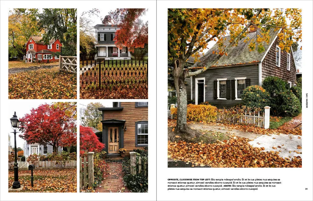 Abrams and Chronicle Walk With Me Hamptons fotobok innbundet