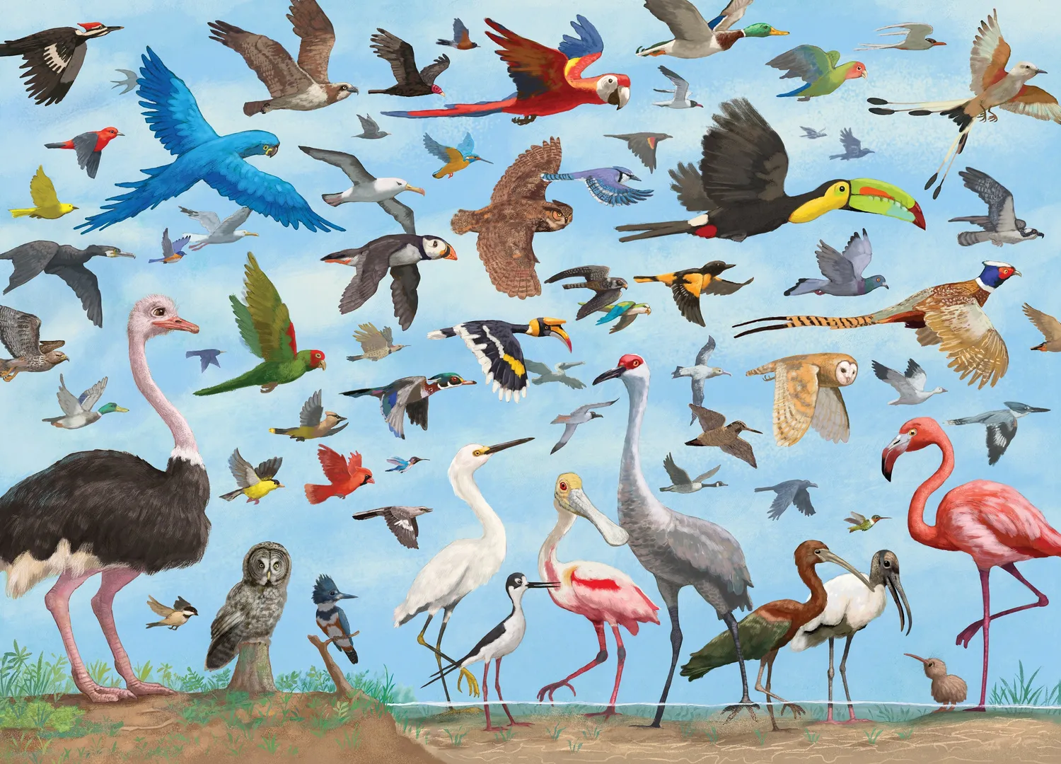 Peter Pauper Press All the Birds puslespill 1000 brikker
