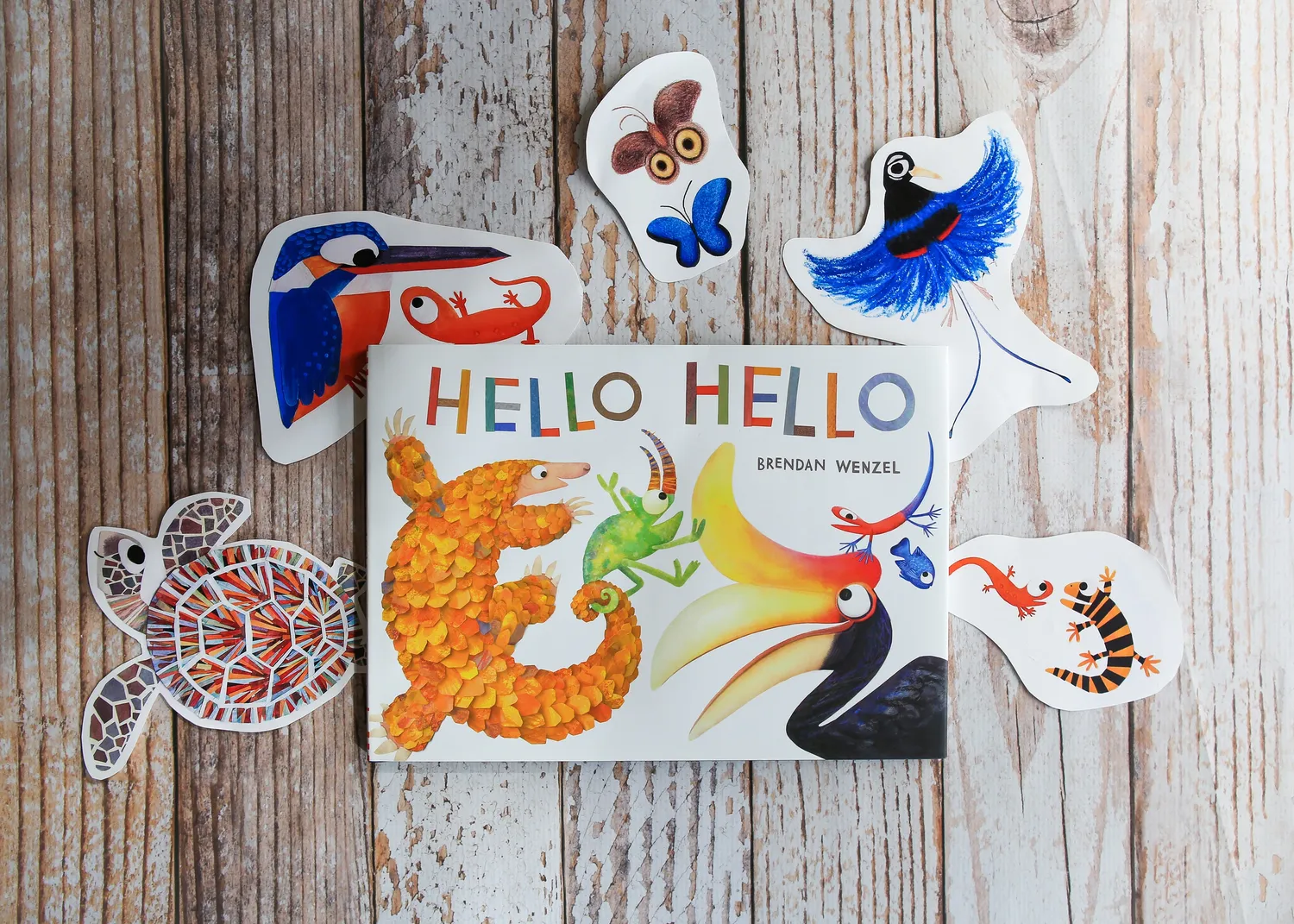 Chronicle Books Hello Hello bildebok innbundet 3-5 år