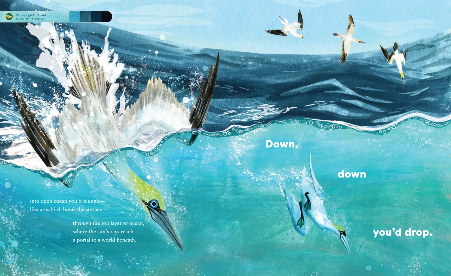 Abrams and Chronicle Bottom of the Ocean barnebok innbundet