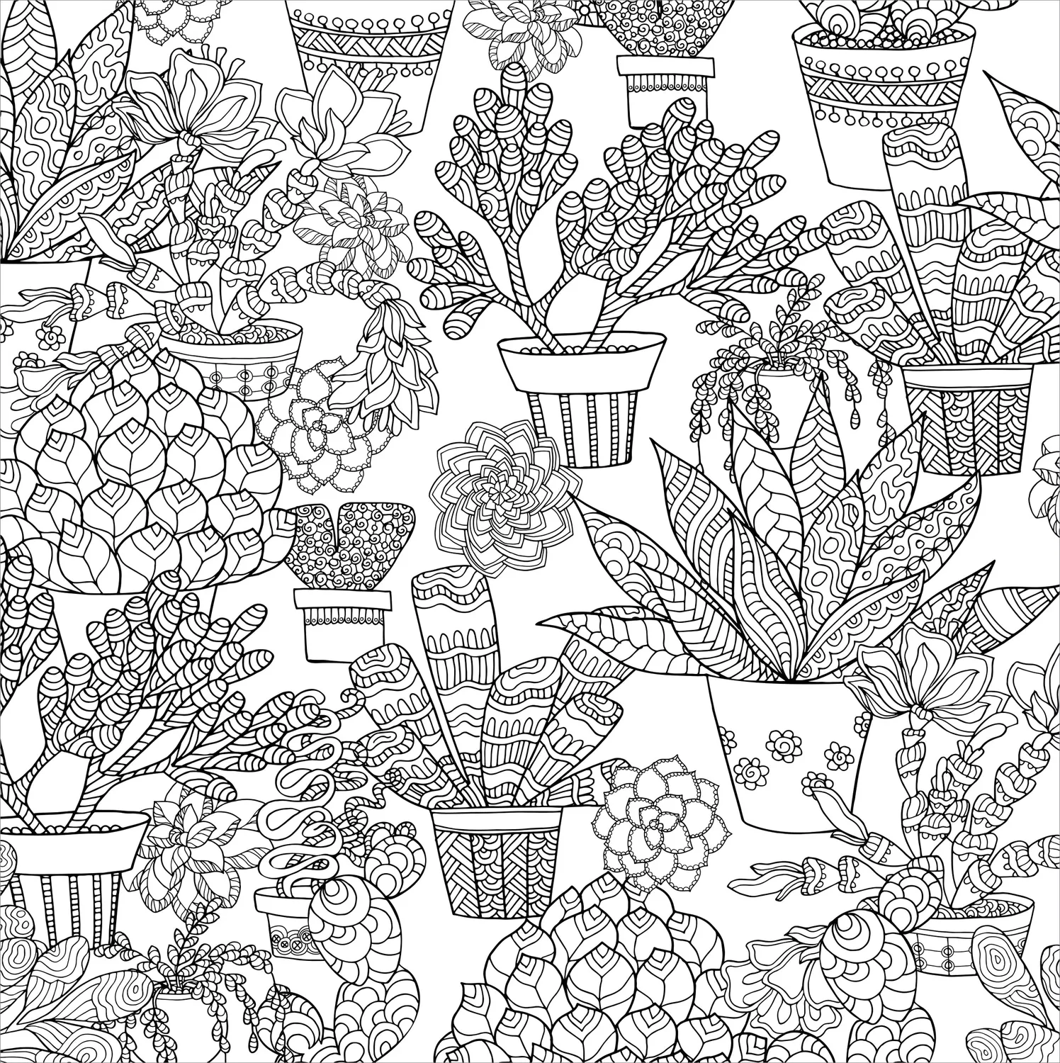 Peter Pauper Press Succulents fargeleggingsbok 31 motiver