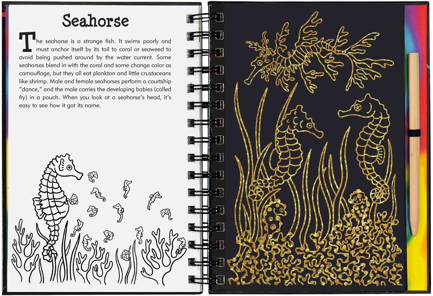 Peter Pauper Press Scratch and Sketch Coral Reefs skrapebok barn 5+