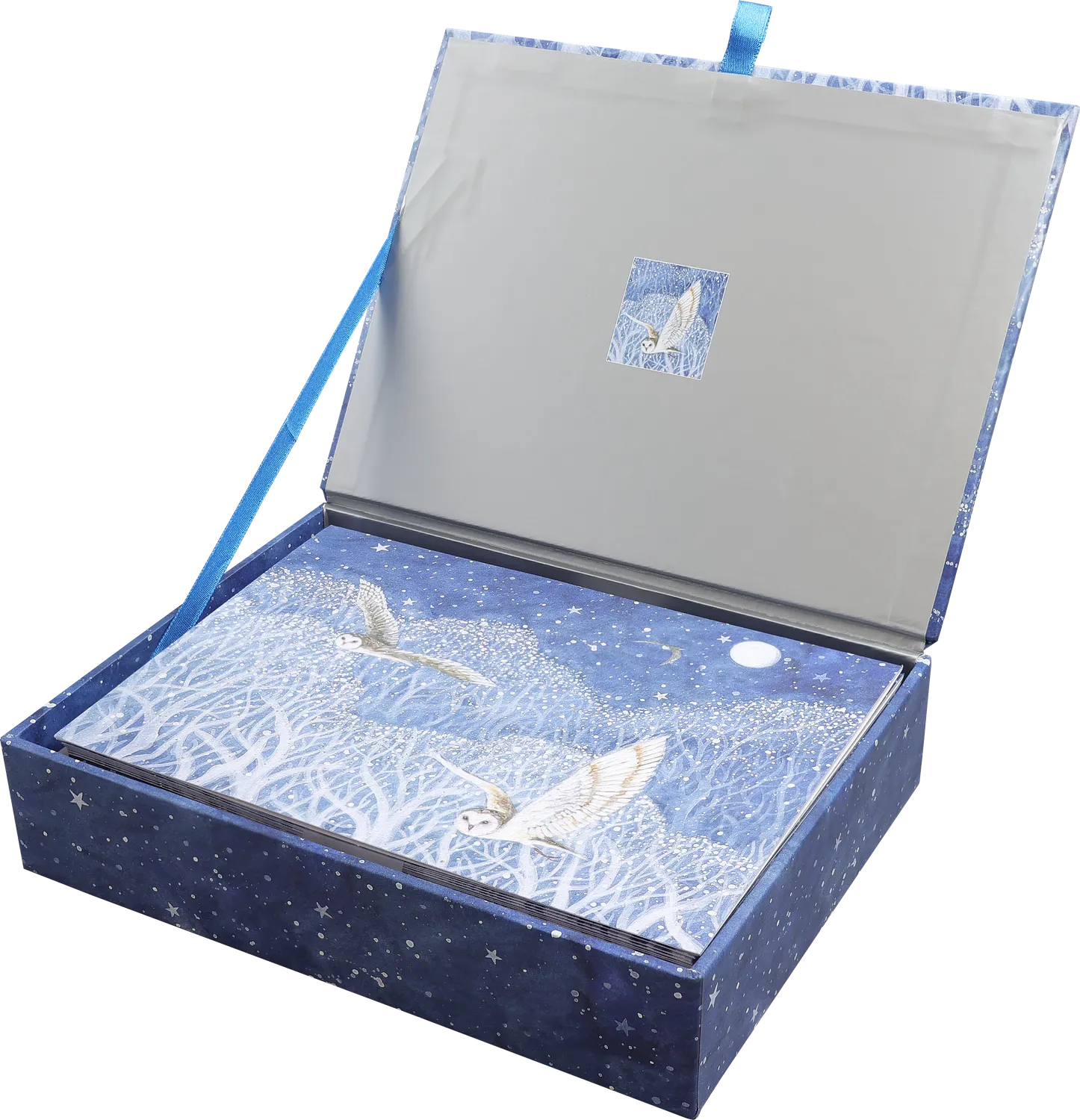 Peter Pauper Press Owls in Flight julekort 20-pk ugler