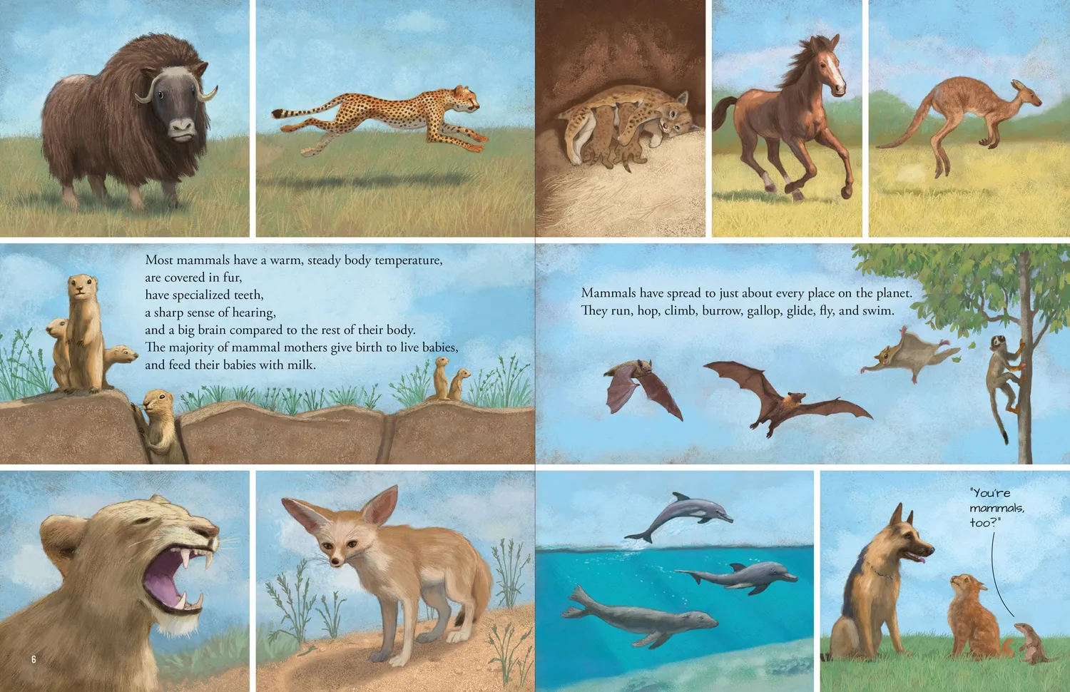 Peter Pauper Press All the Mammals in the World bildebok innbundet