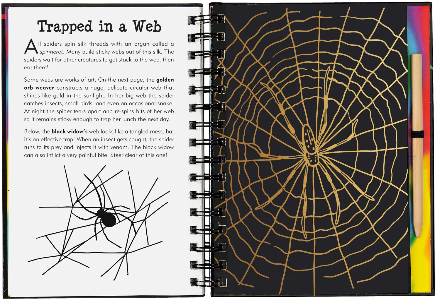 Scratch and Sketch Bugs! skrapebok insekter 64 sider