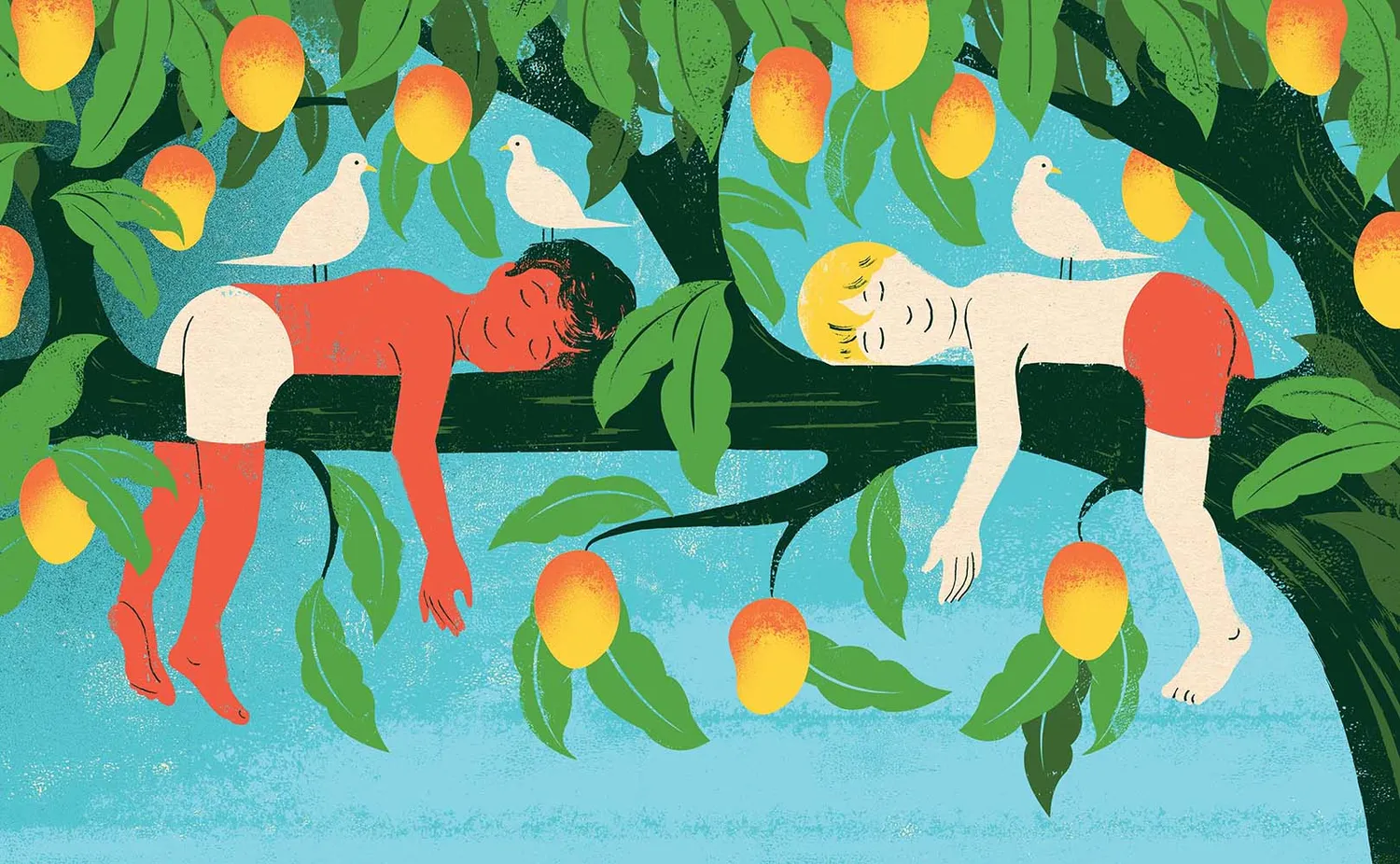 Edel Rodriguez The Mango Tree bildebok innbundet 4-8 år
