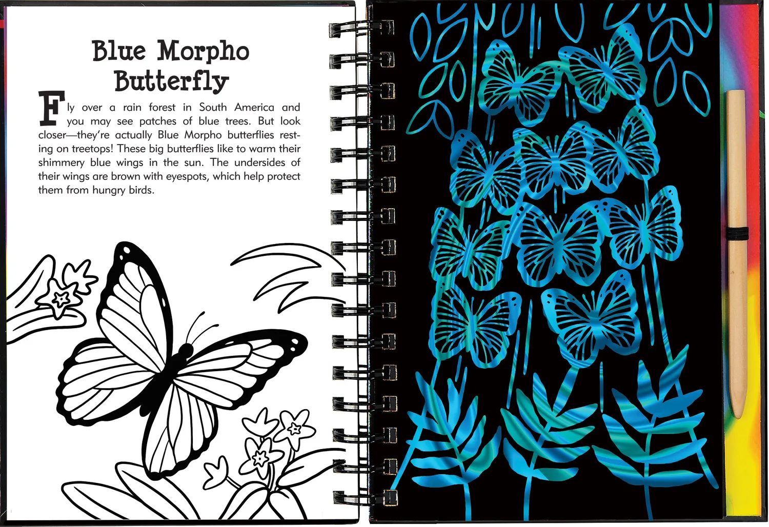 Peter Pauper Press Scratch and Sketch Butterflies and Friends skrapebok barn