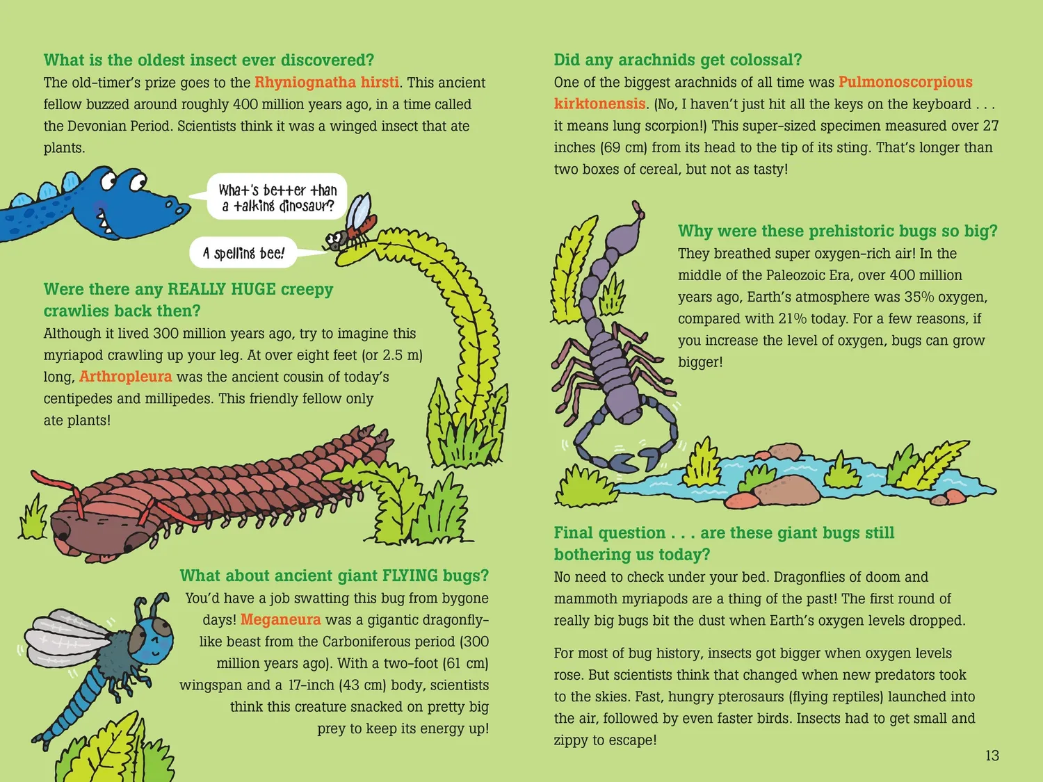 Peter Pauper Press 100 Questions about Bugs barnebok innbundet