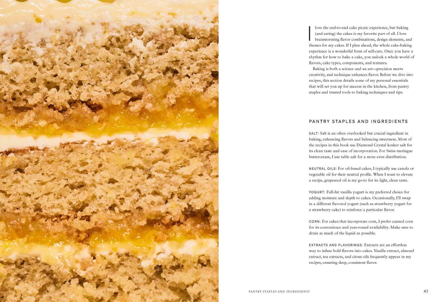 Abrams & Chronicle Cake Picnic kokebok innbundet 50 oppskrifter