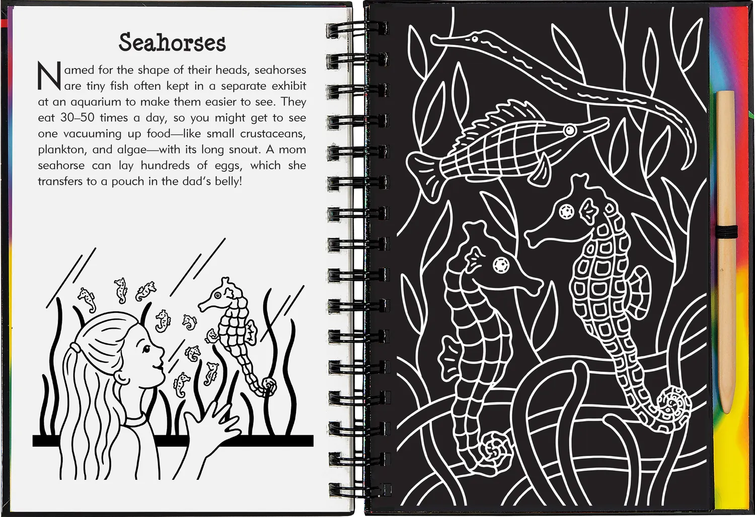 Peter Pauper Press Aquarium Scratch and Sketch skrapebok barn