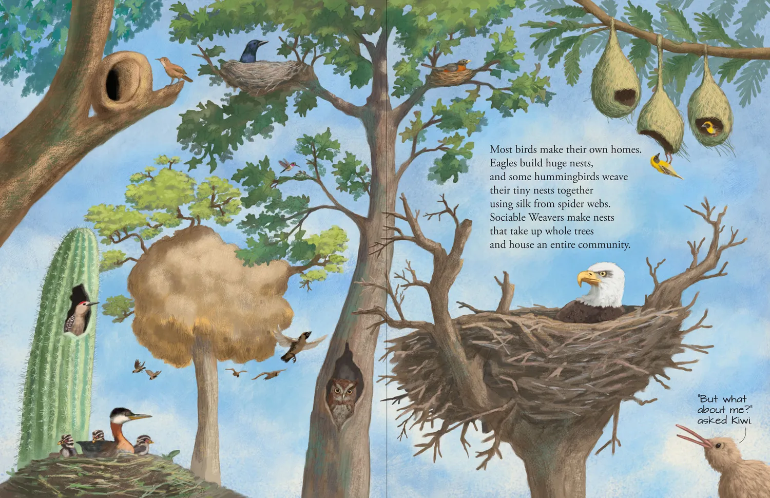 Peter Pauper Press All the Birds in the World bildebok innbundet 3-8 år