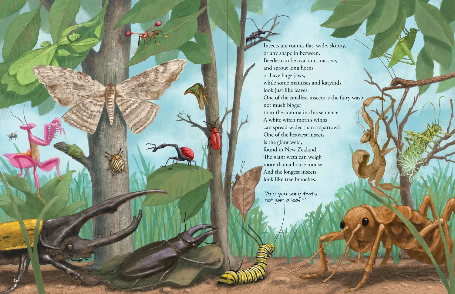 Peter Pauper Press All the Insects bildebok innbundet 32 sider