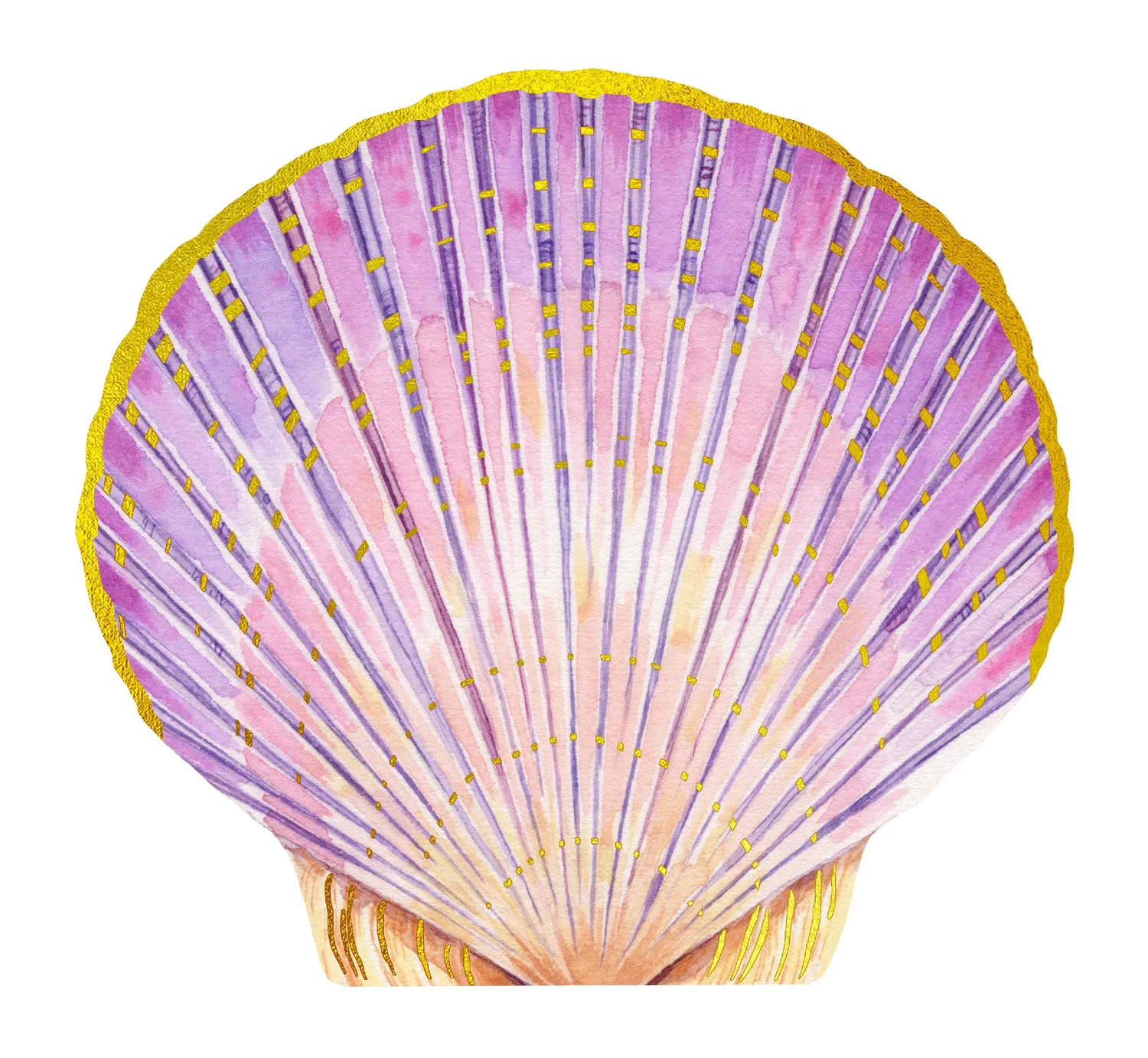 Abrams and Chronicle Shell Notes kort 12-pakning skjell