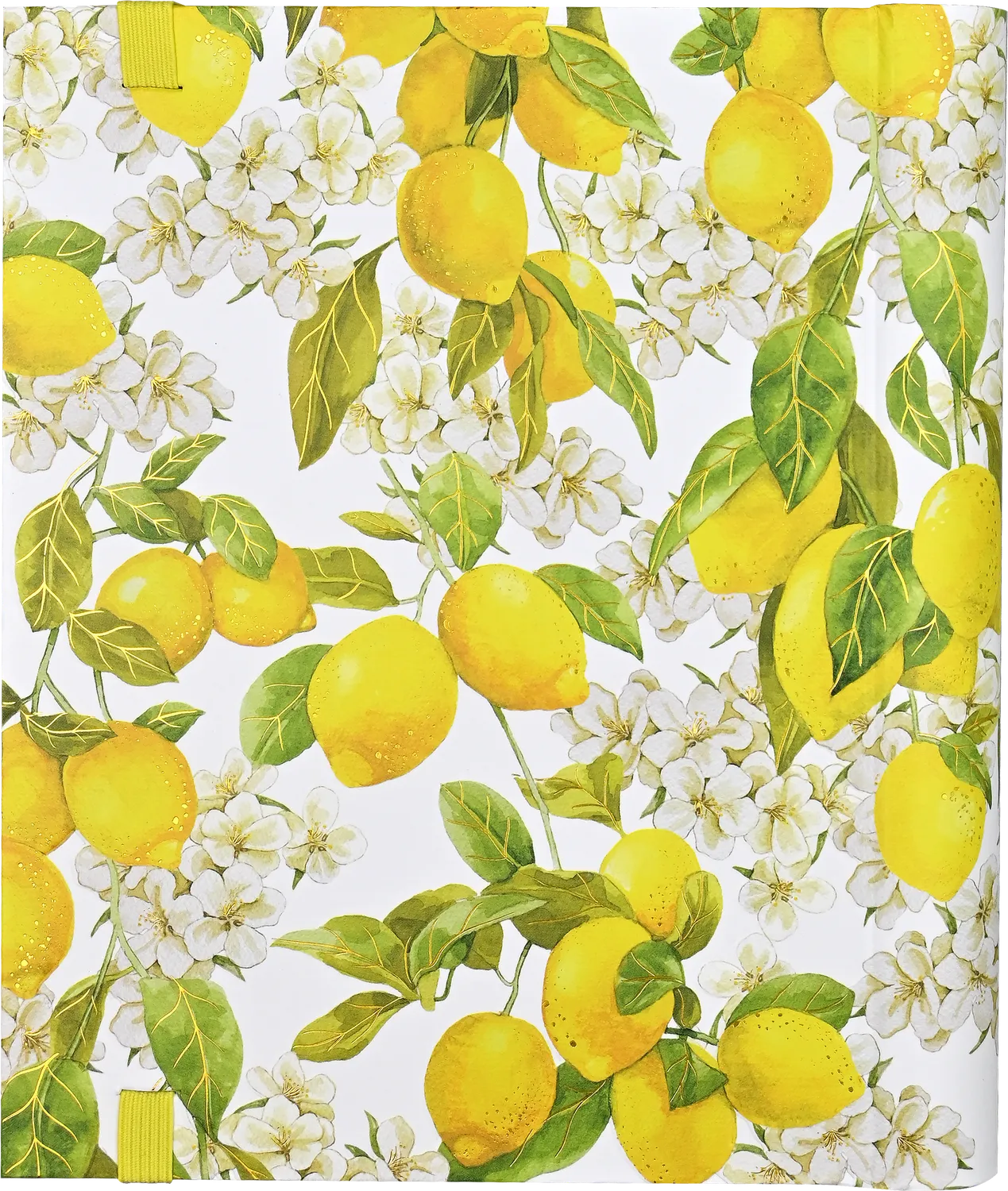 Peter Pauper Press Amalfi Lemons adressebok stor 350 kontakter