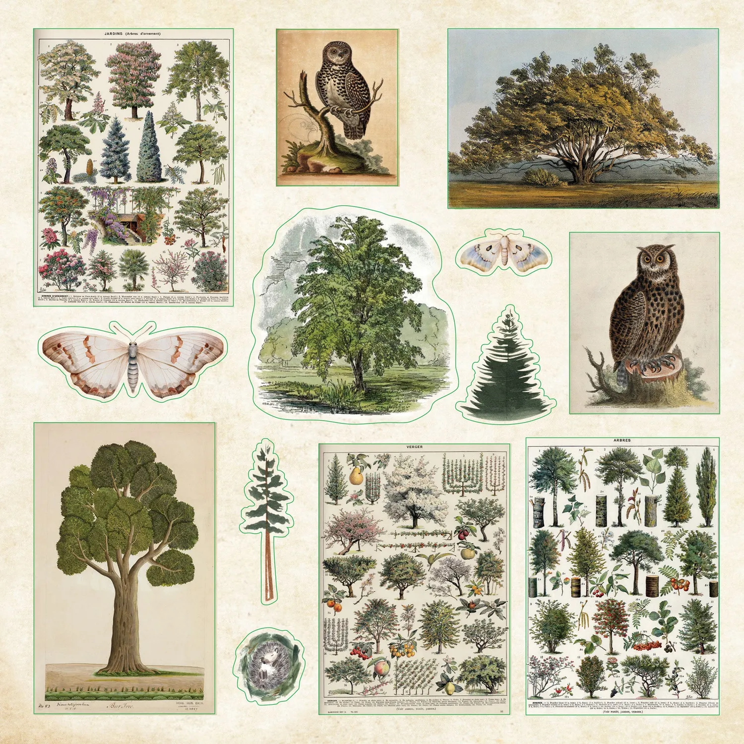 Peter Pauper Press Enchanted Forest klistremerkebok 800 stk