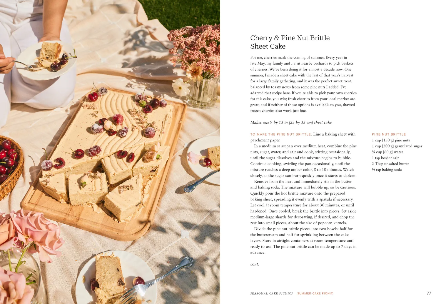 Abrams & Chronicle Cake Picnic kokebok innbundet 50 oppskrifter