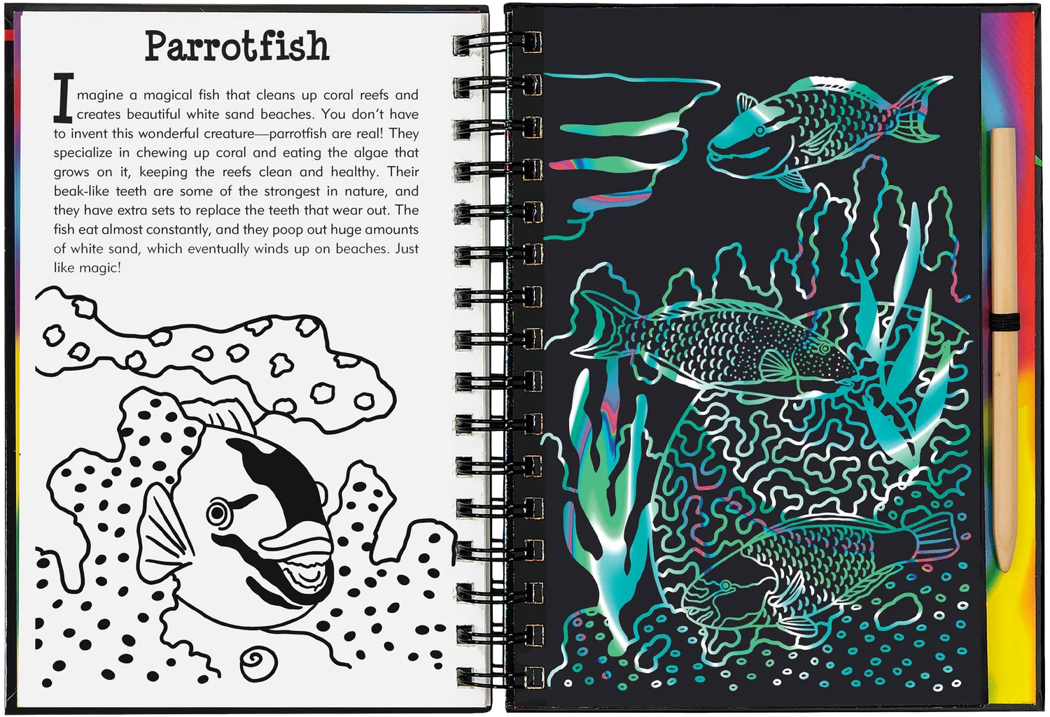 Peter Pauper Press Scratch and Sketch Coral Reefs skrapebok barn 5+
