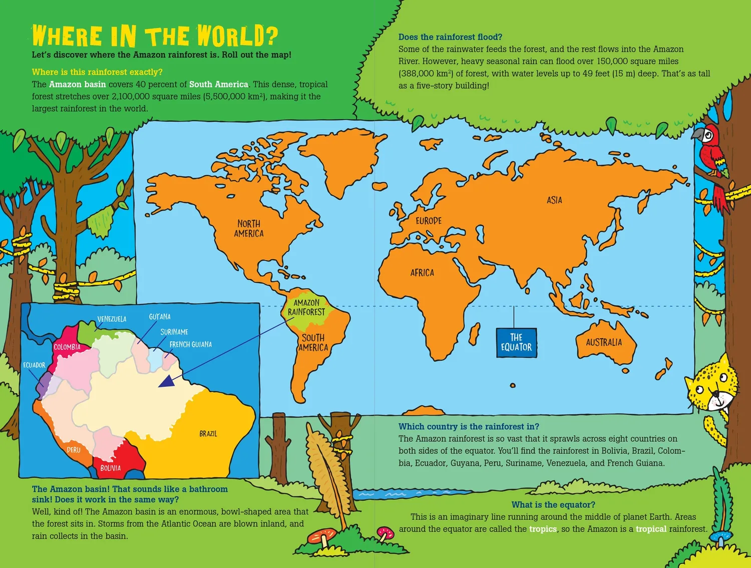 Peter Pauper Press 100 Questions Amazon Rainforest faktabok