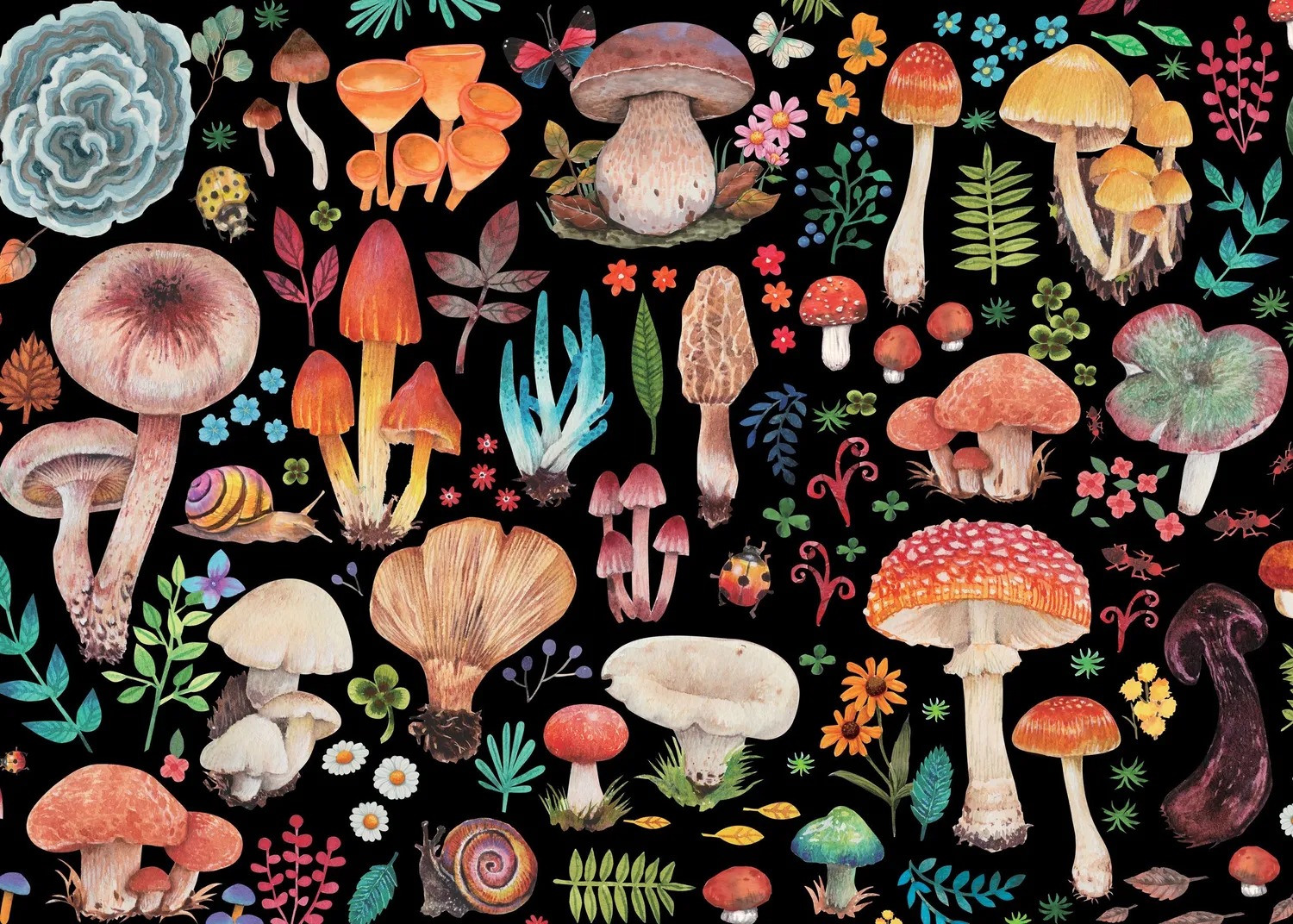 Peter Pauper Press Mushrooms puslespill 1000 brikker sopp