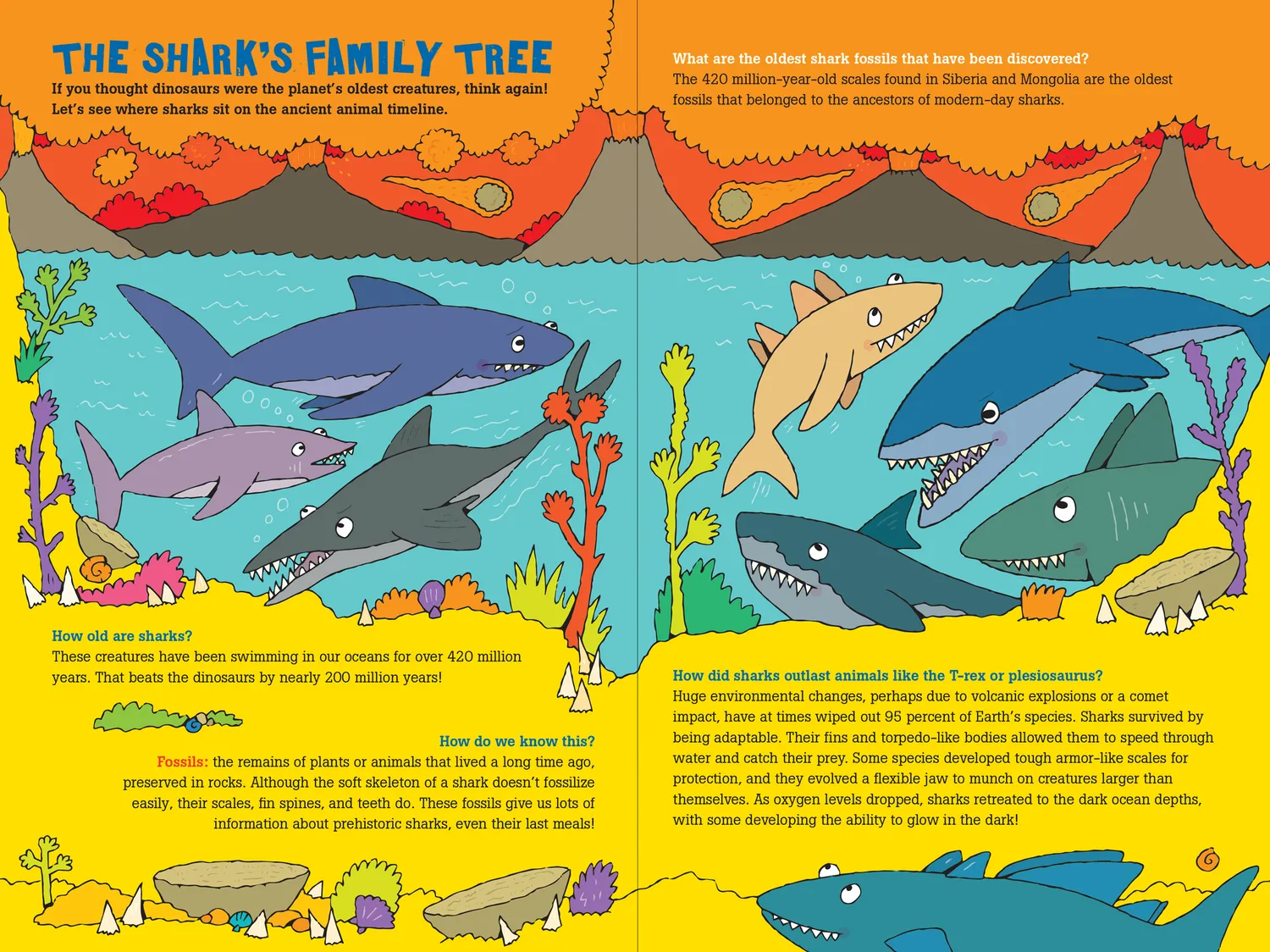 Peter Pauper Press 100 Questions about Sharks barnebok innbundet