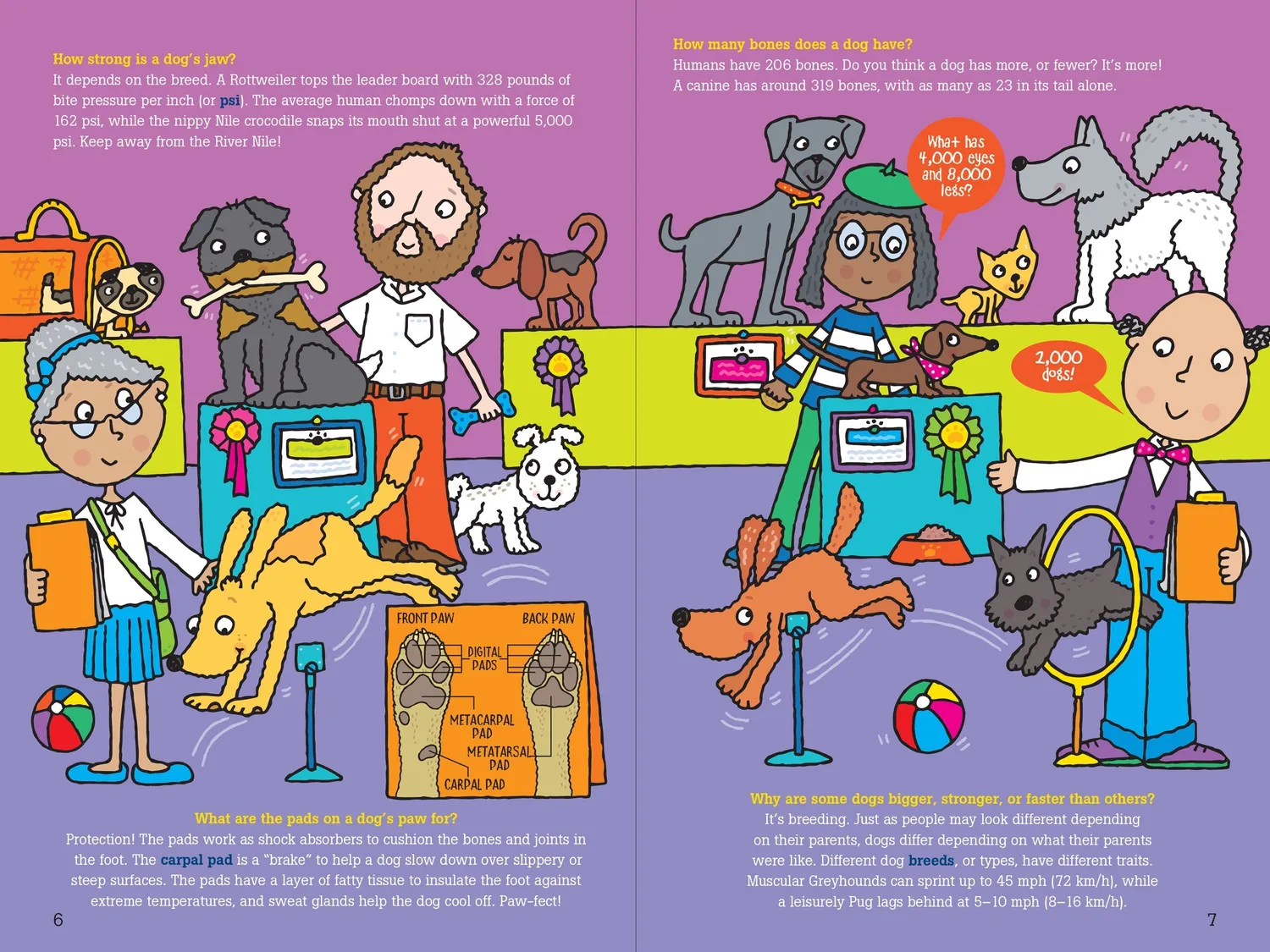 Peter Pauper Press 100 Questions Dogs barnebok innbundet hund