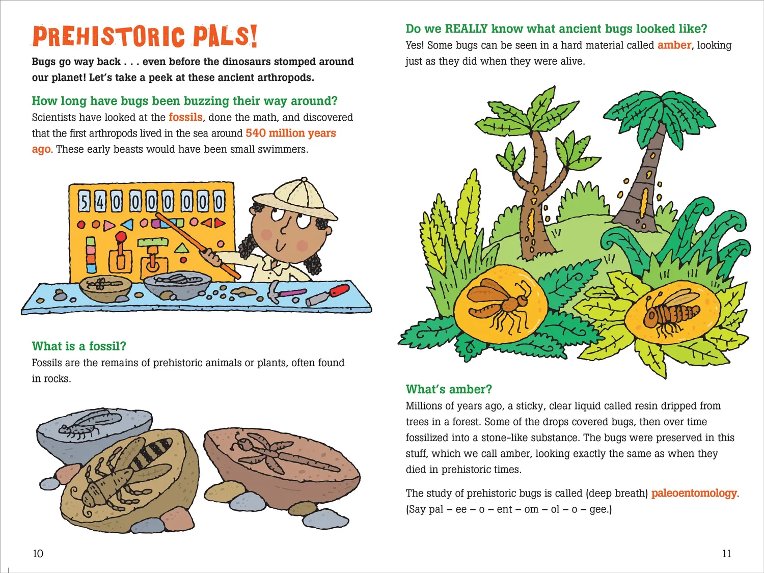 Peter Pauper Press 100 Questions about Bugs barnebok innbundet