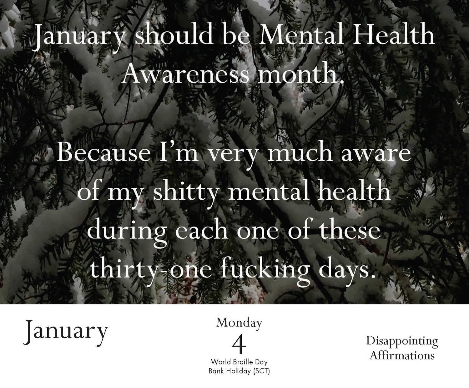 Disappointing Affirmations 2027 Daily Calendar dagskalender
