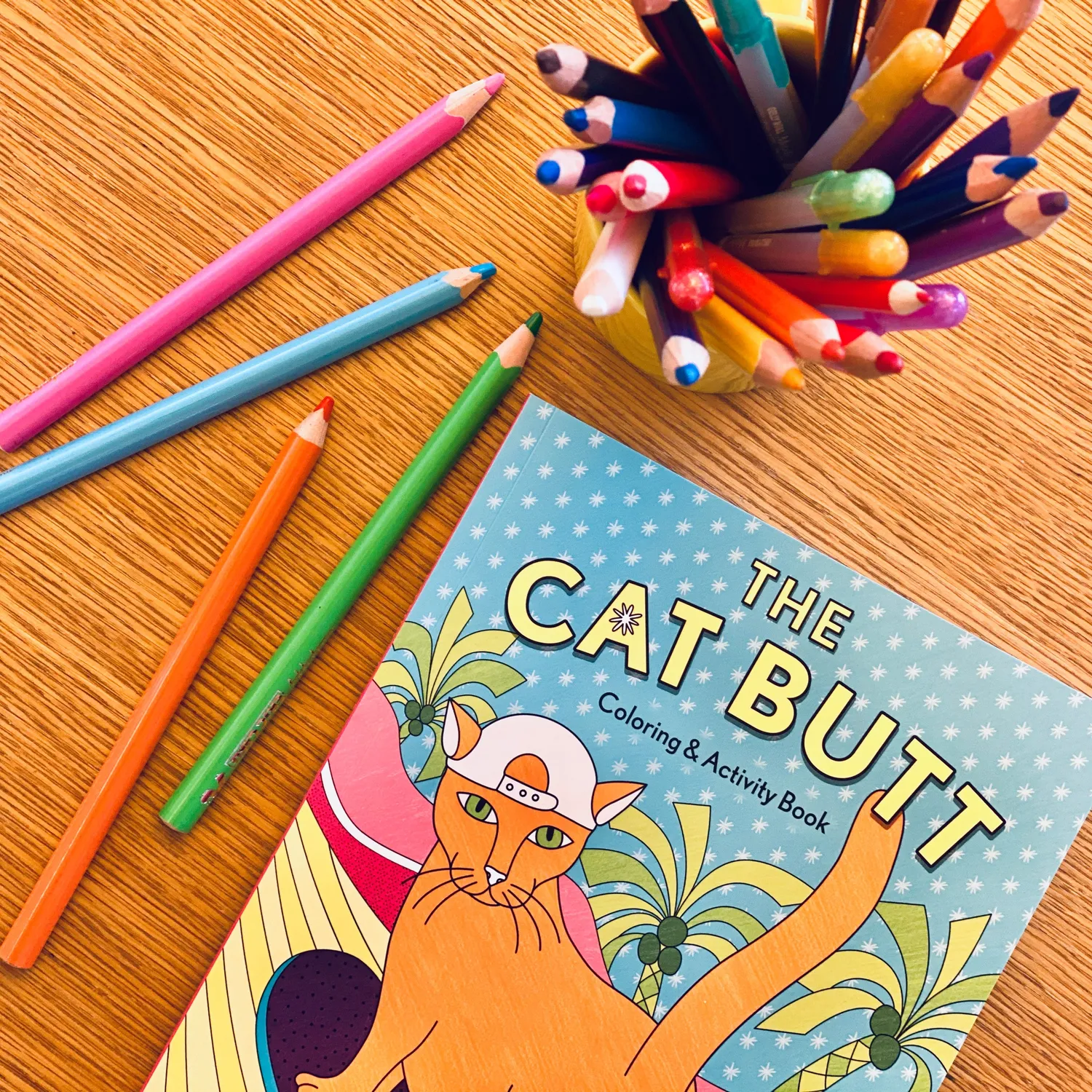Abrams Cat Butt Coloring and Activity Book fargeleggingsbok humor