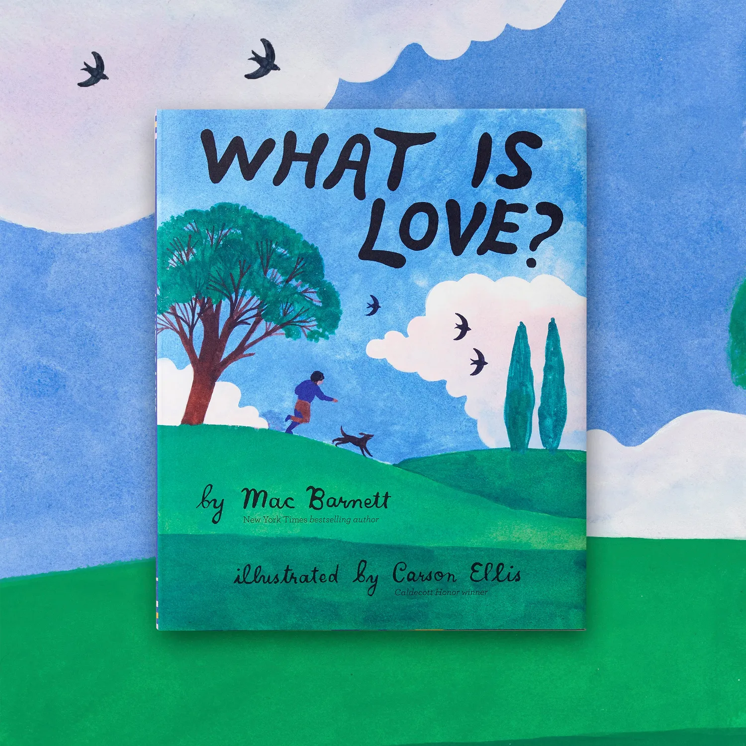 Abrams and Chronicle What Is Love? bildebok innbundet