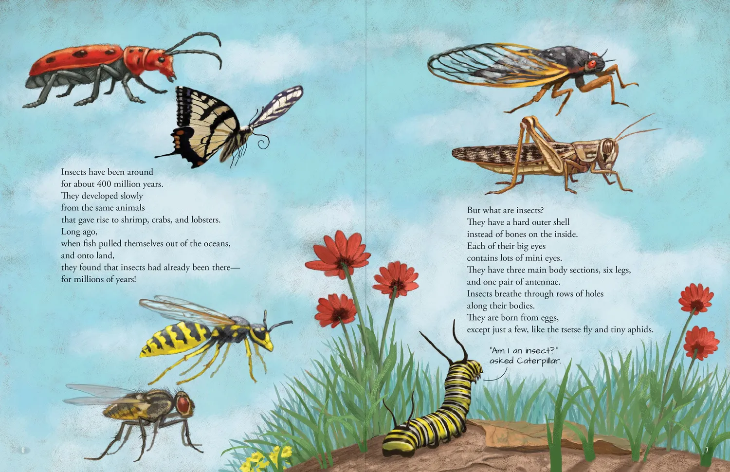 Peter Pauper Press All the Insects bildebok innbundet 32 sider