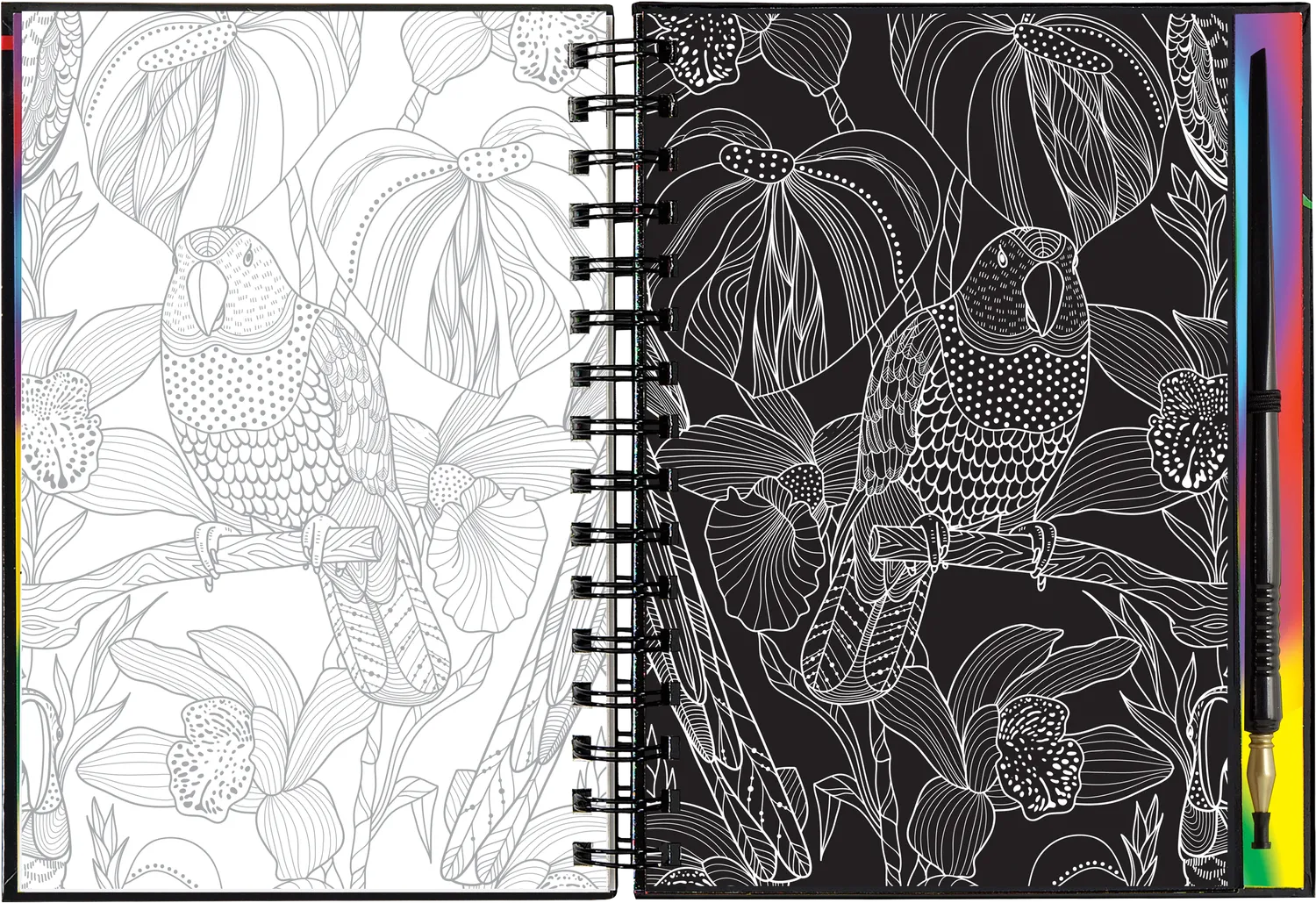 Peter Pauper Press Scratch and Sketch Birds skrapebok