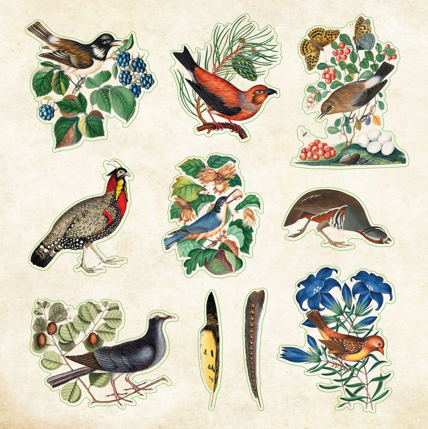 Peter Pauper Press Zoological Ephemera klistremerkebok 680-pk dyr