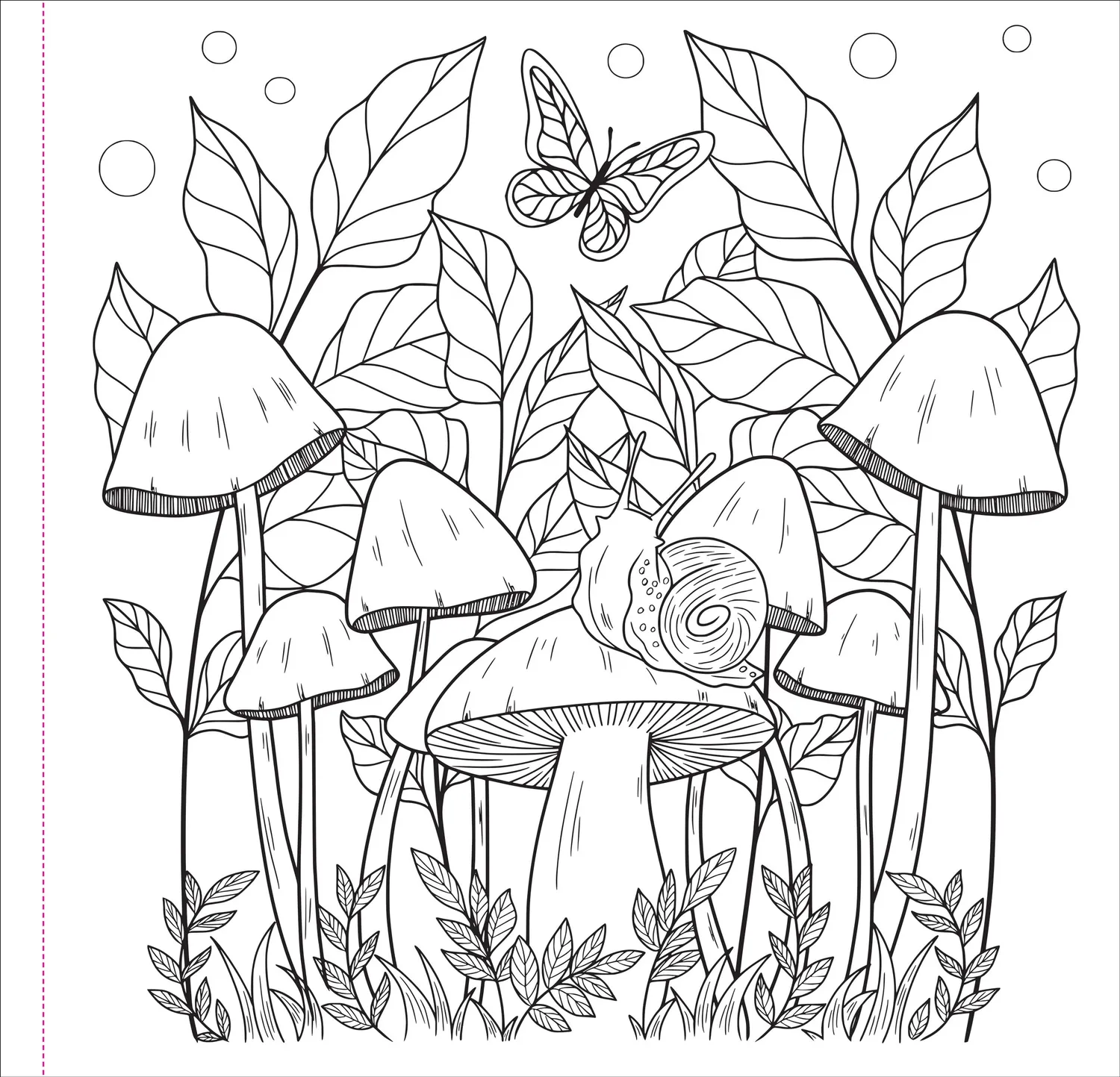 Peter Pauper Press Mushrooms fargeleggingsbok for voksne