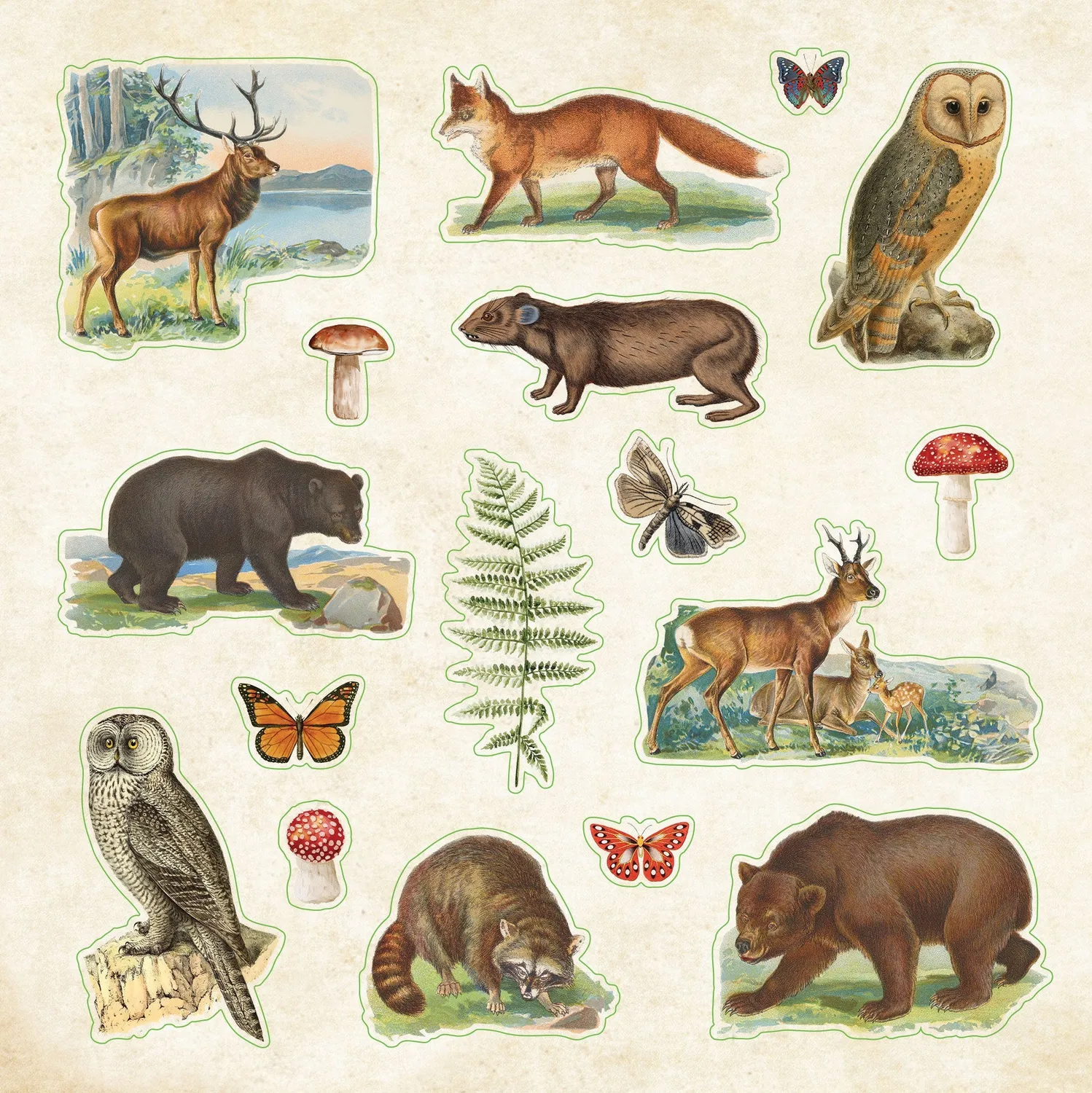 Peter Pauper Press Zoological Ephemera klistremerkebok 680-pk dyr
