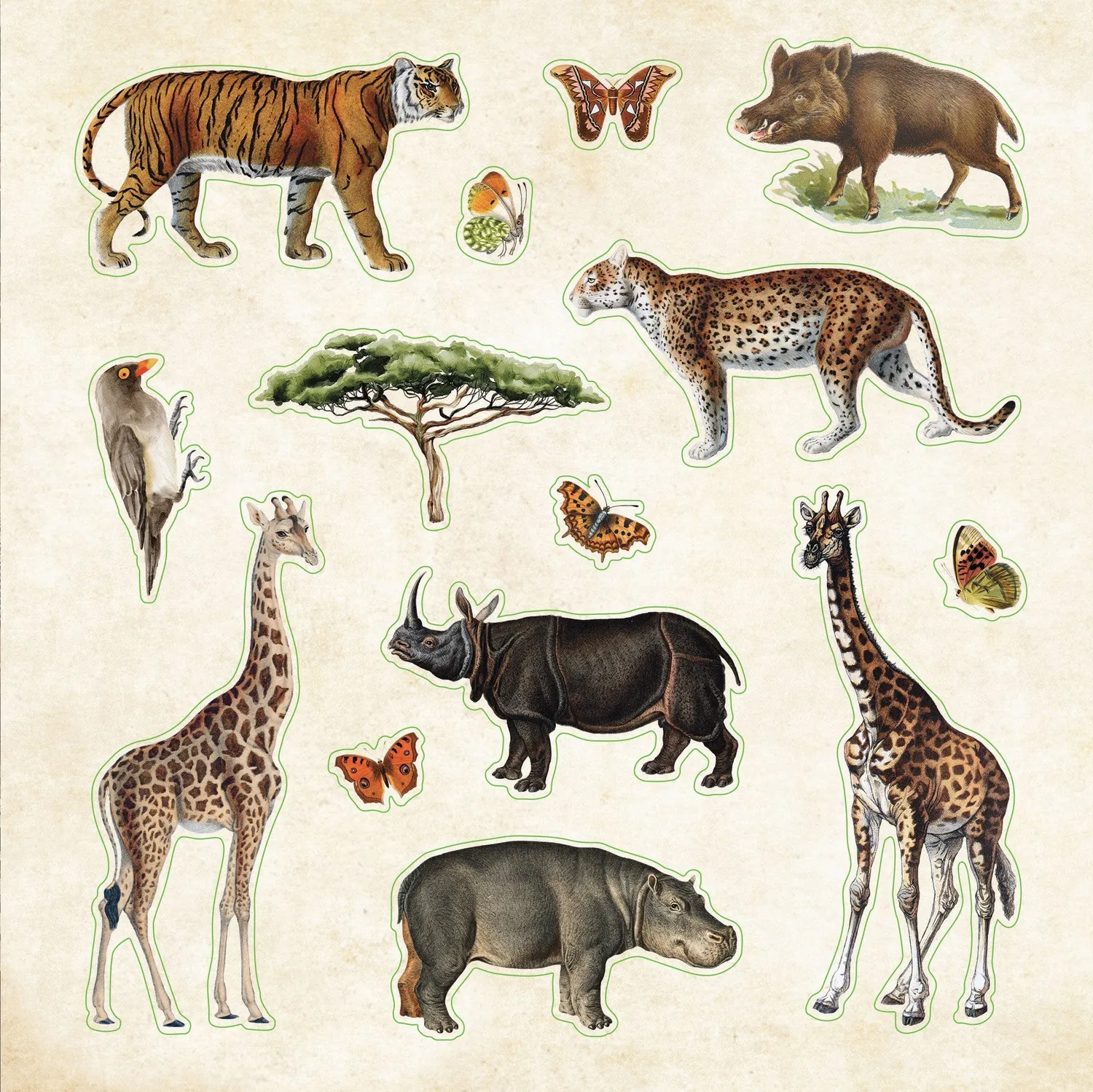 Peter Pauper Press Zoological Ephemera klistremerkebok 680-pk dyr