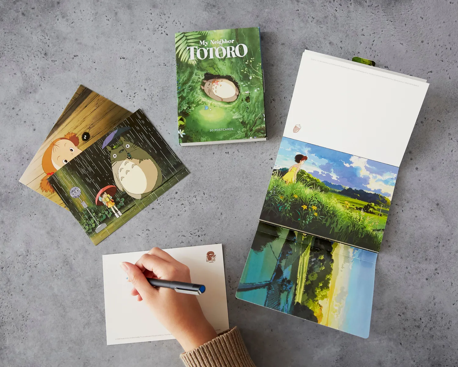 Studio Ghibli My Neighbor Totoro postkortbok 30 kort