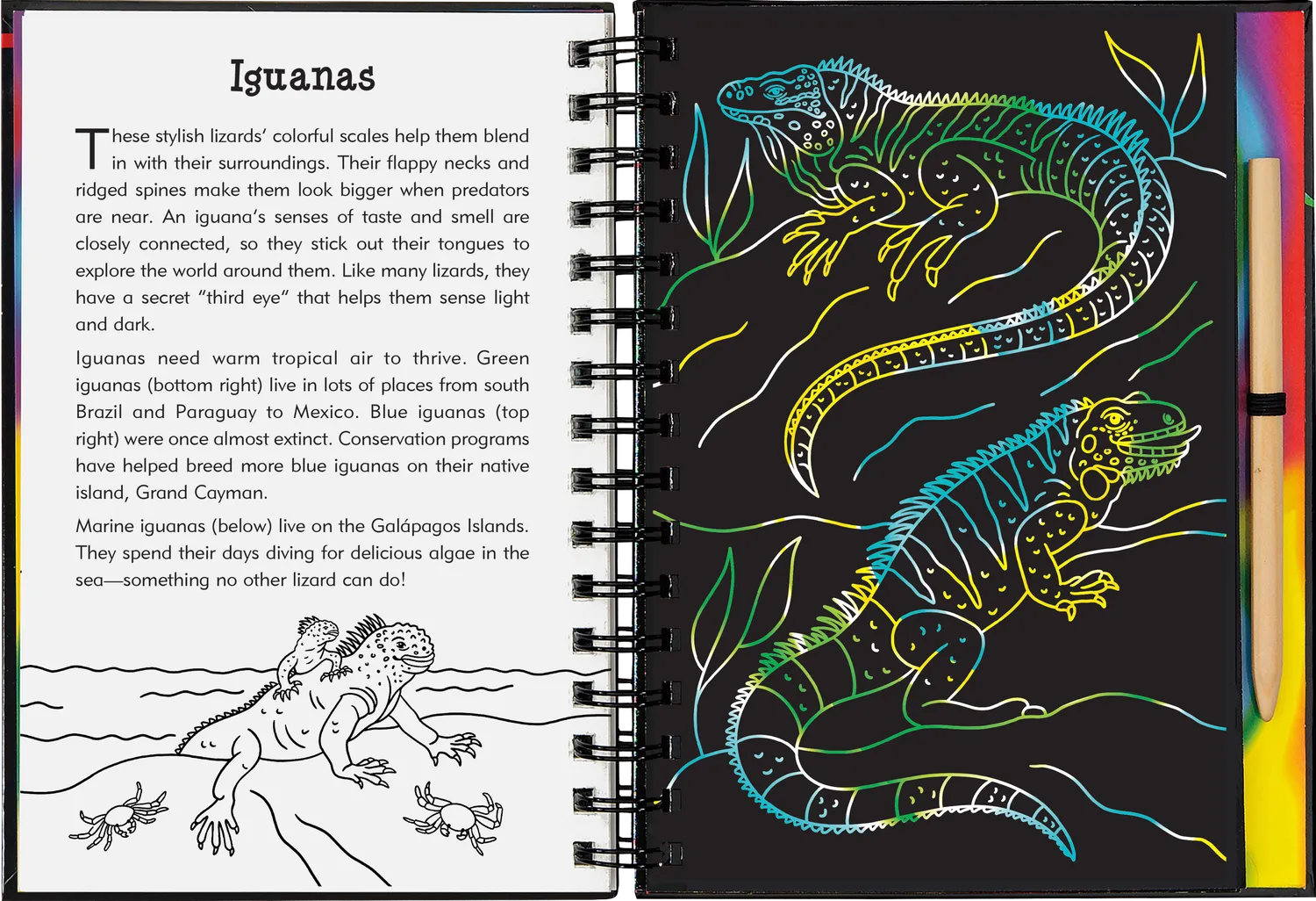 Peter Pauper Press Scratch and Sketch Reptiles & Amphibians skrapebok for barn