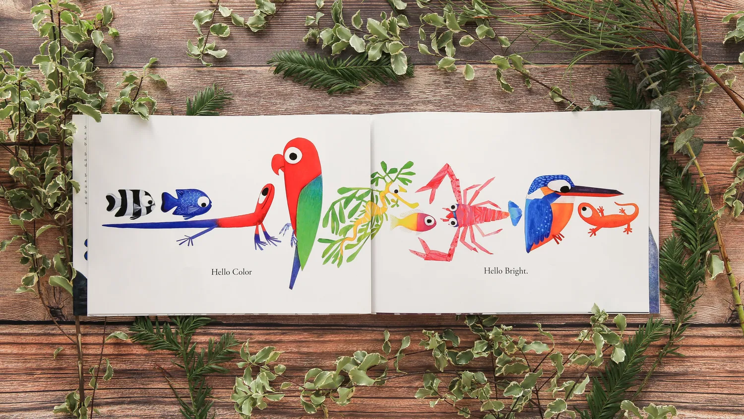 Chronicle Books Hello Hello bildebok innbundet 3-5 år