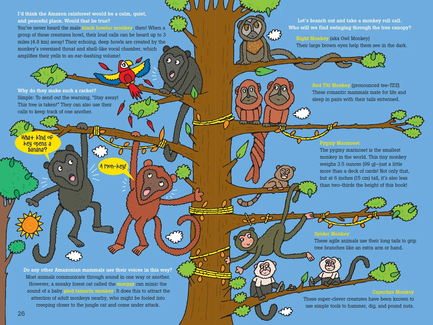 Peter Pauper Press 100 Questions Amazon Rainforest faktabok