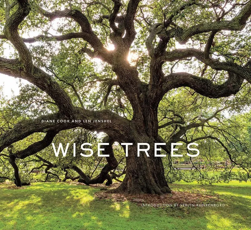 Abrams Wise Trees fotobok innbundet natur
