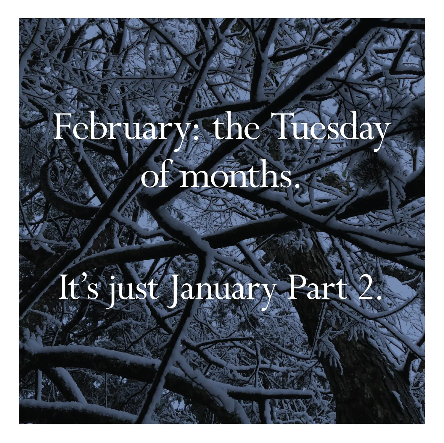 Disappointing Affirmations 2027 veggkalender 12x12