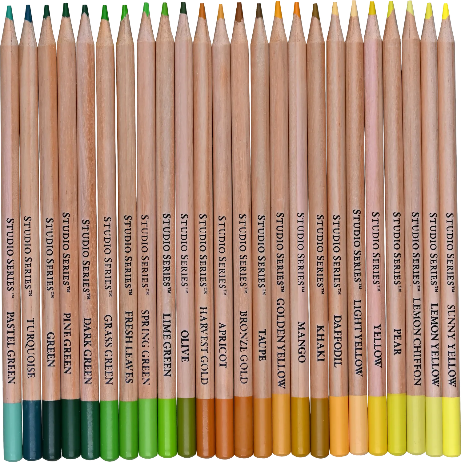Studio Series Colored Pencils fargeblyanter 72 stk tube