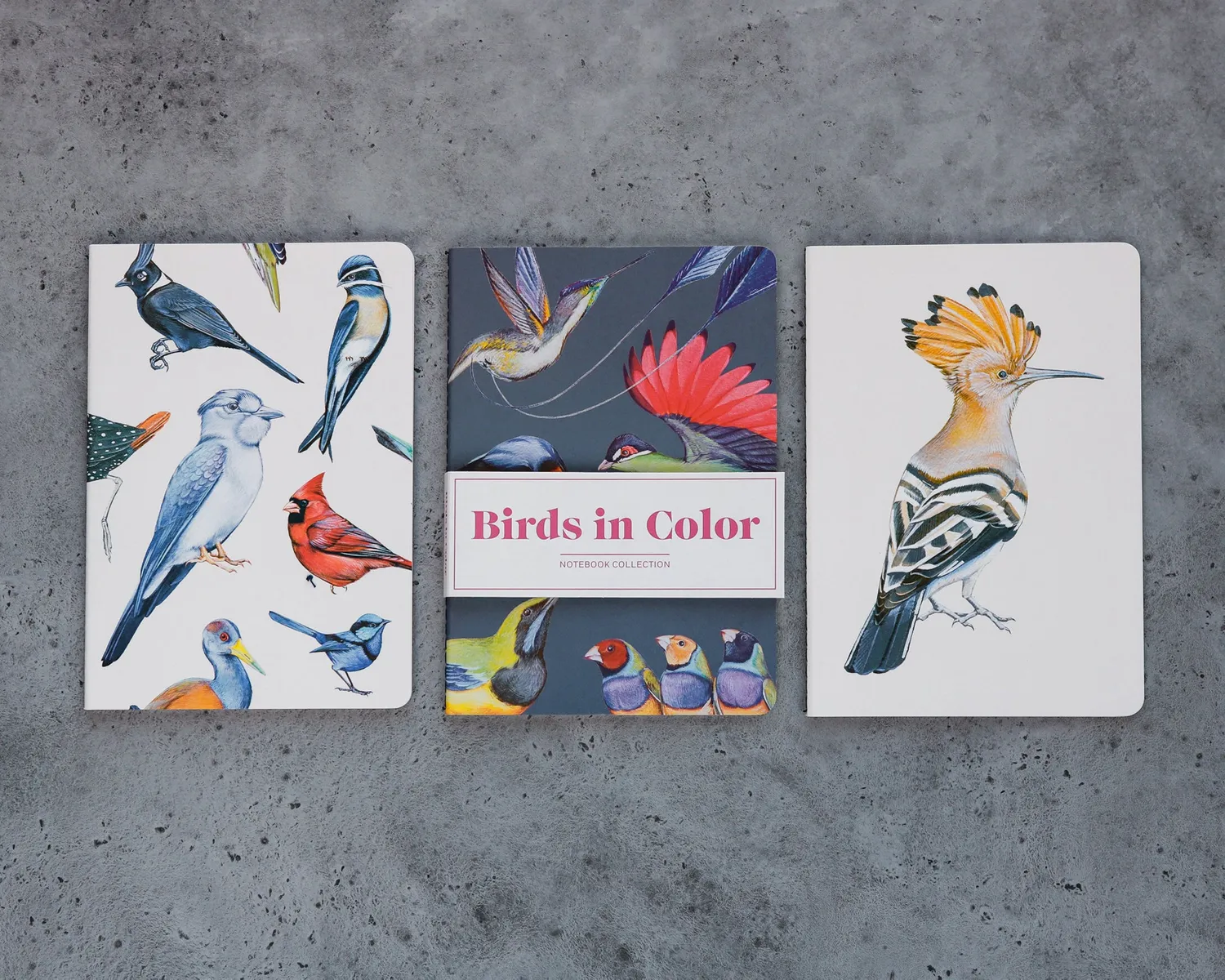 Abrams Birds in Color notatbøker 3-pakning fuglemotiv