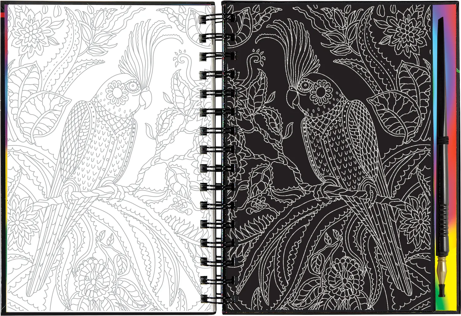 Peter Pauper Press Scratch and Sketch Birds skrapebok